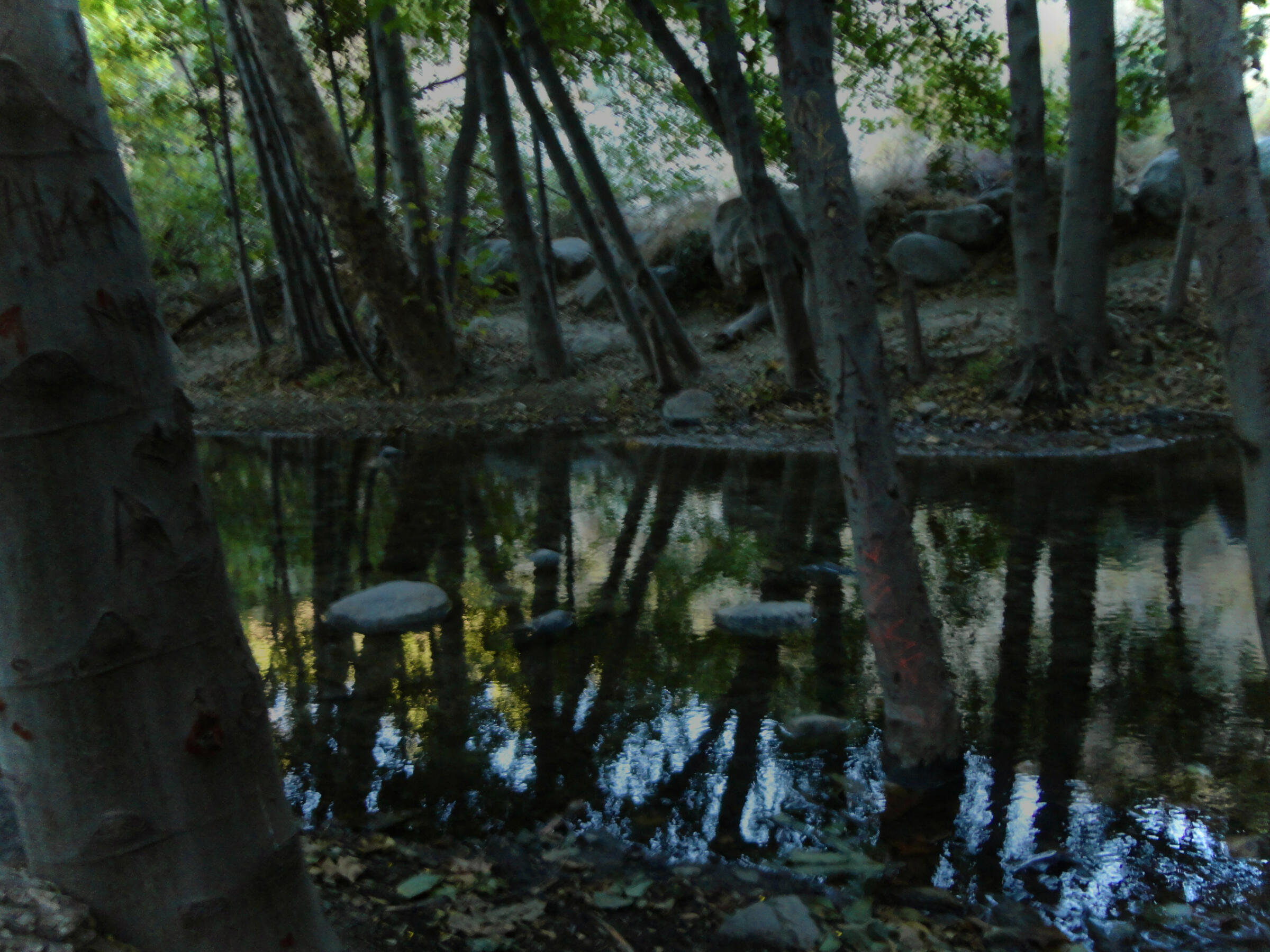 eaton canyon. 10.24.2024