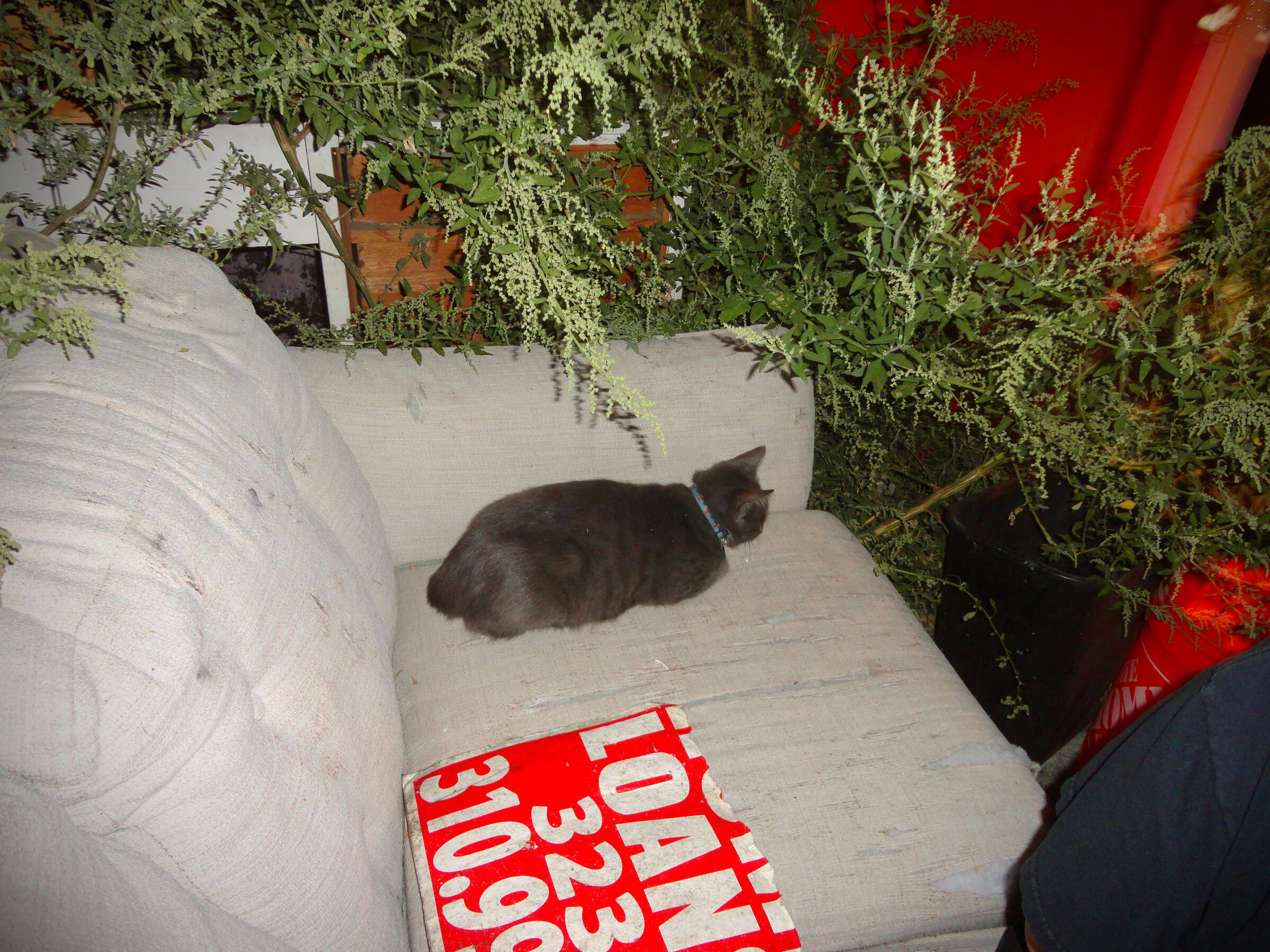 FKA Church, east hollywood 10.25.2024