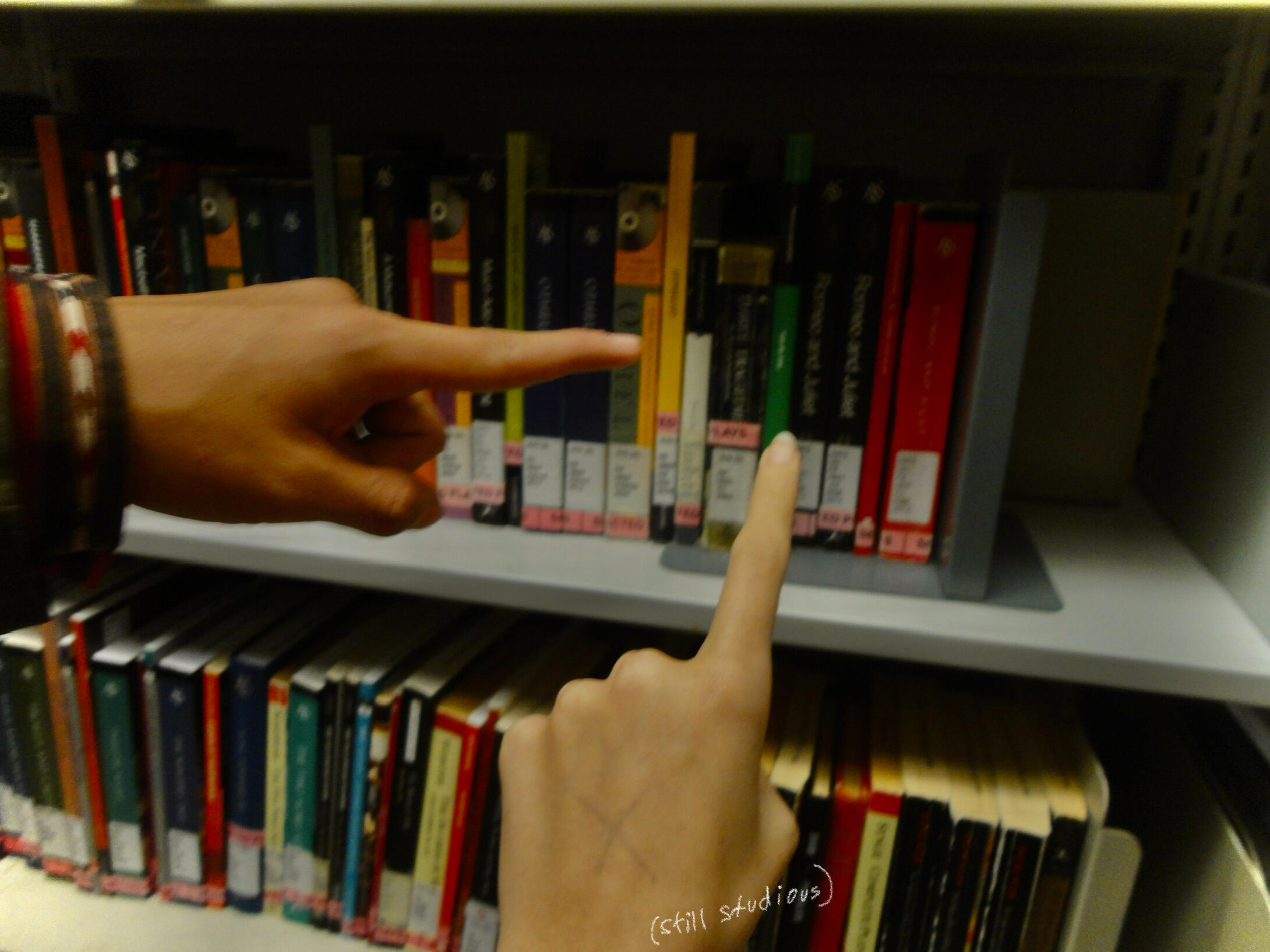 maybe bruised--but still studious! 11.23.2024