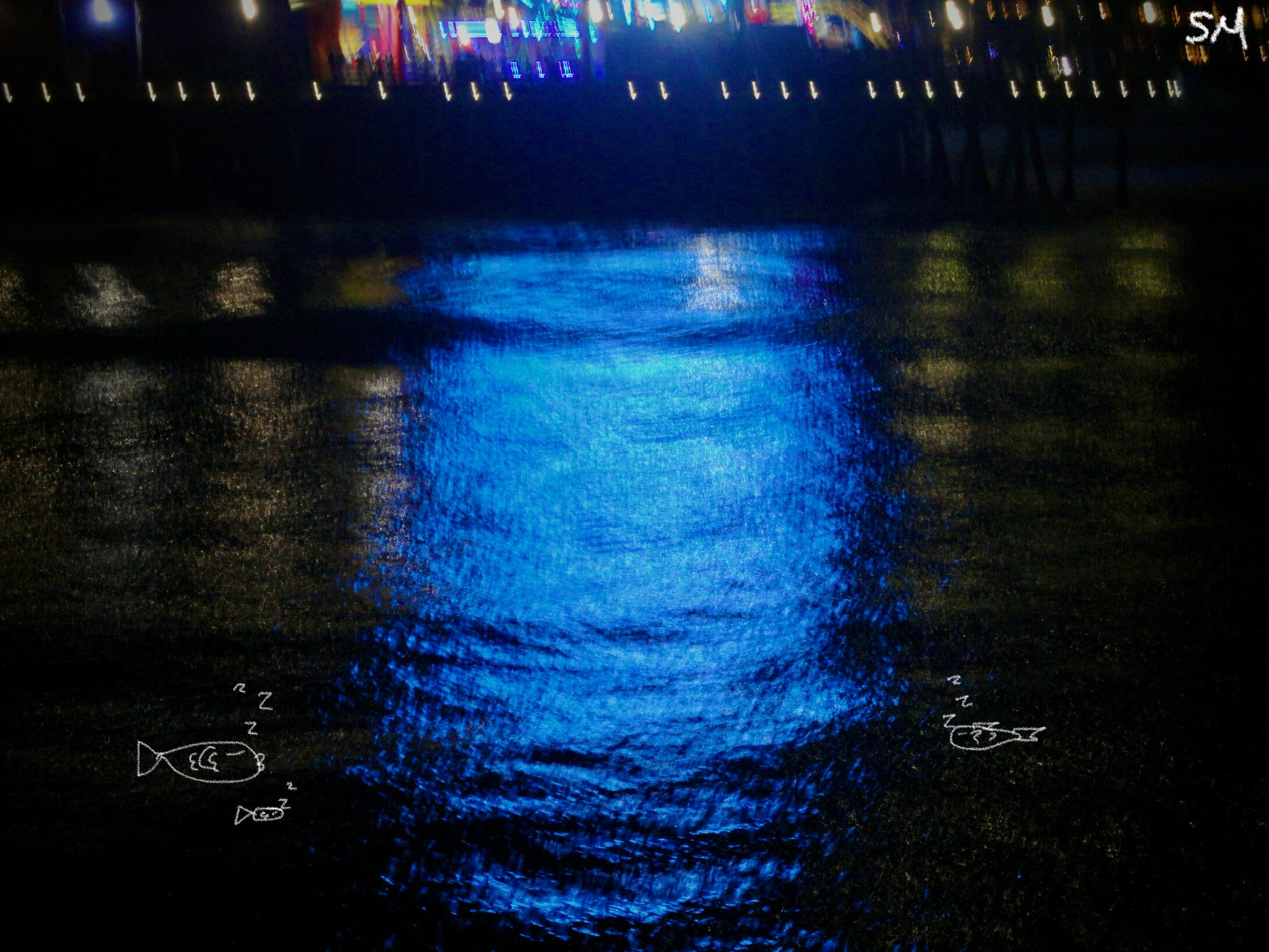 do you think they&#39;re sleeping? 11.17.2024