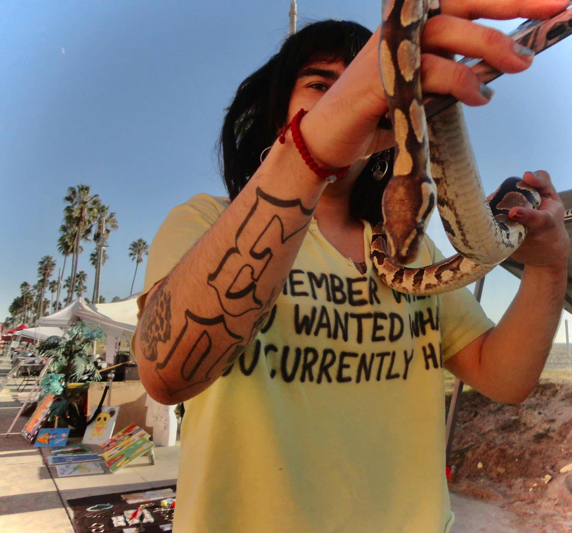 car being brave! 11.8.2024