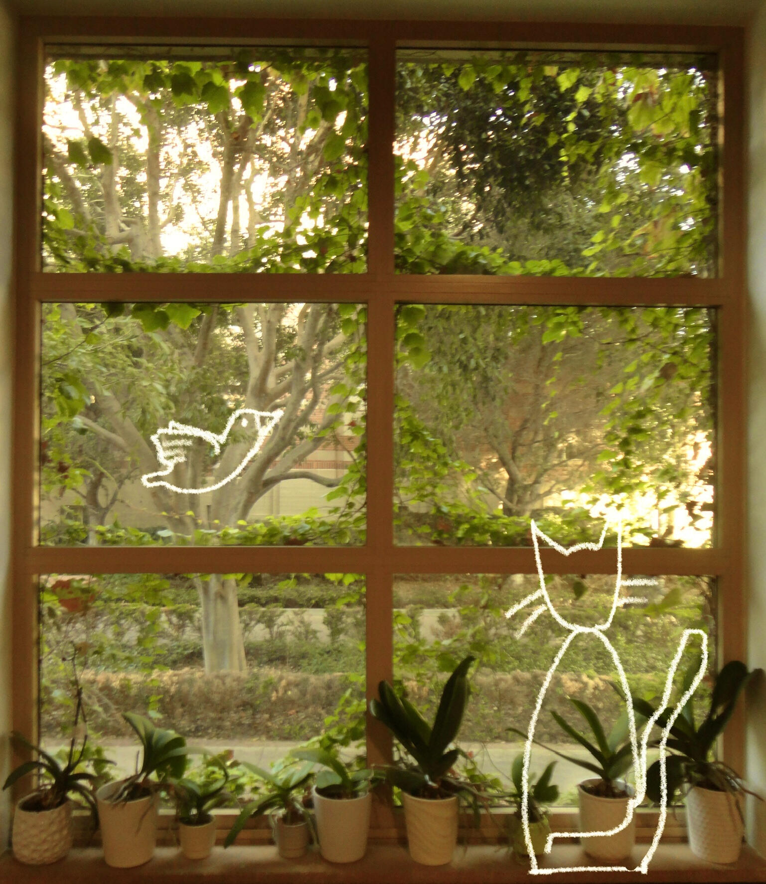 ashe center window. needed a lil kitty! unknown date. accompanying isuh!