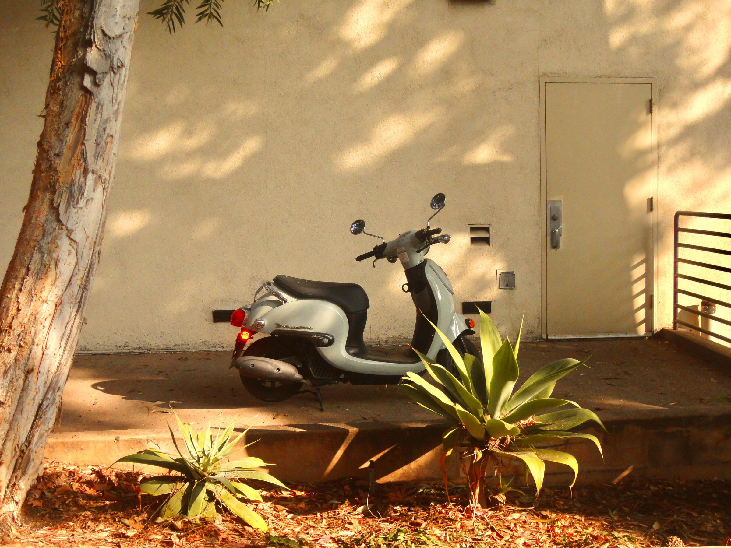 id rather get ran over by this than a bird scooter. 12.4.2024