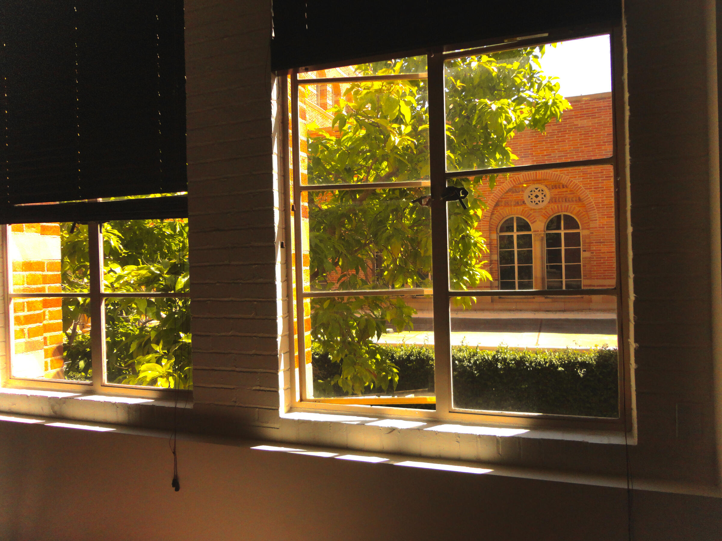 kaplan hall window. oh sweet summer sun, plz shine on my studies! 9.4.2024, new student orientation